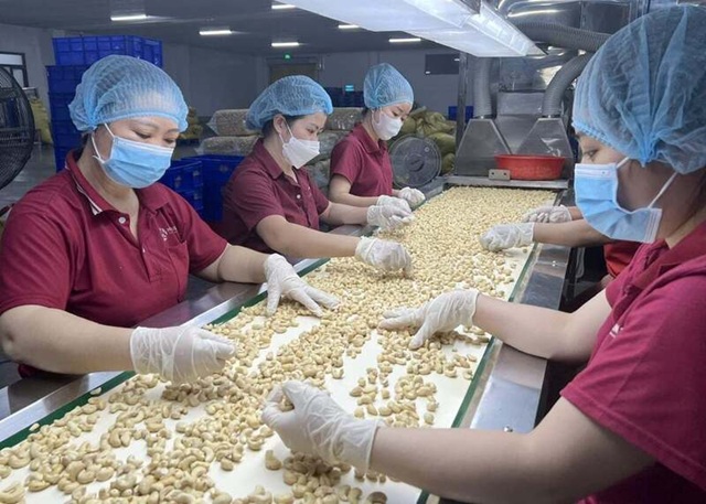 Thị trường châu Âu: Điểm đến tiềm năng của doanh nghiệp Việt