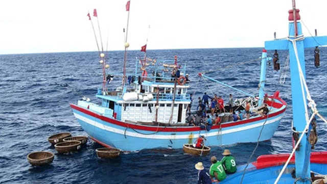 EC lùi thời gian thanh tra xem xét gỡ “thẻ vàng” IUU đến cuối năm 2025