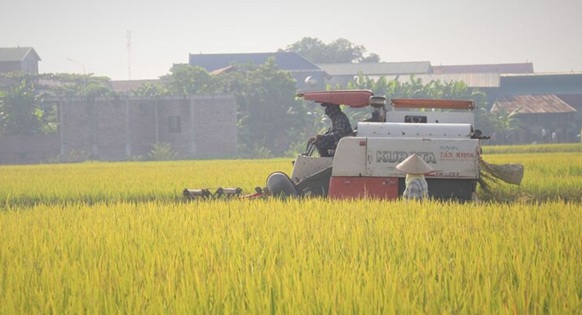 Tháo gỡ điểm nghẽn để tăng tốc xuất khẩu nông, lâm, thủy sản cuối năm
