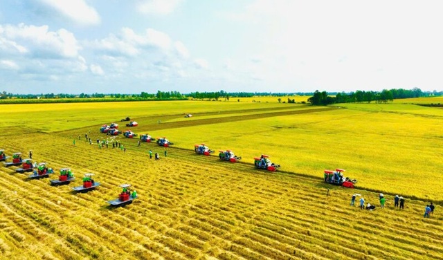 Nông sản Việt trước cơ hội cạnh tranh bằng 'dấu chân carbon thấp'