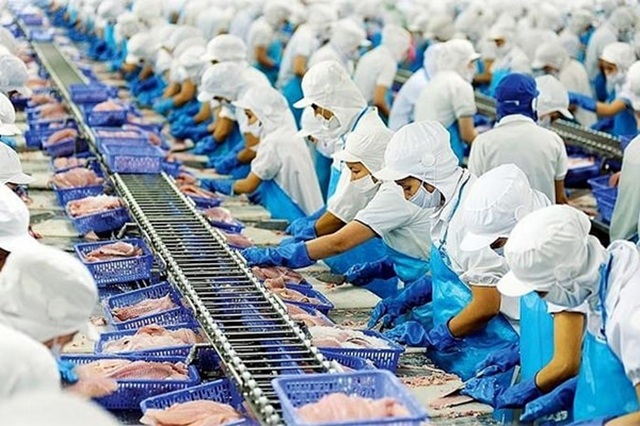 Chuyển hướng thị trường: giải pháp bứt phá cho thủy sản Việt Nam