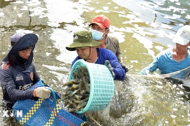 EU gia tăng kiểm soát và cảnh báo một số thực phẩm nhiễm chất cấm