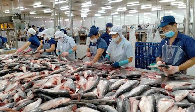 Xuất khẩu thủy sản bước vào giai đoạn tăng tốc bền vững