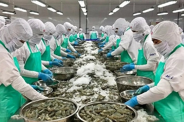 Ngành thủy sản linh hoạt thị trường xuất khẩu