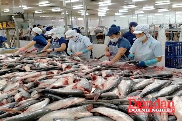 Xuất khẩu Việt Nam 2025: Doanh nghiệp xoay chuyển mạnh mẽ
