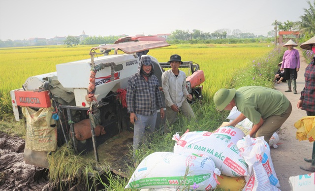 Xuất khẩu nông, lâm, thủy sản đạt gần 42,8 tỷ USD sau 7 tháng năm 2026