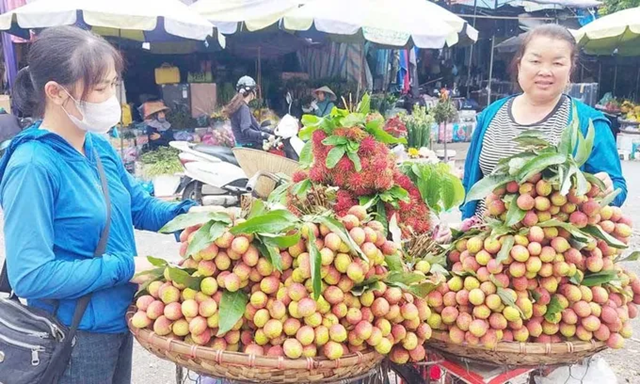Bắc Giang: Vải thiều chín sớm bán giá 40.000 - 80.000 đồng/kg