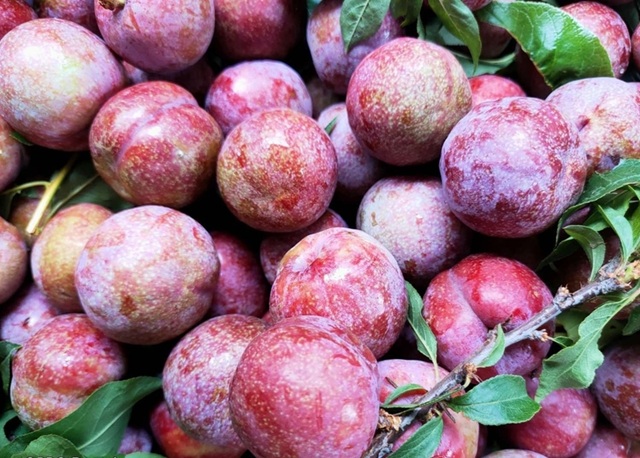 Giá nông sản hôm nay 13/4: Hàng loạt các mặt hàng tăng giá