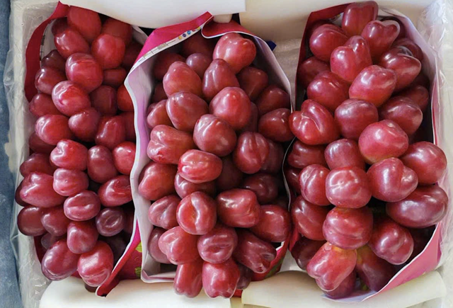 Loại nho mới của Trung Quốc đổ bộ chợ Việt, giá đắt gấp 10 hàng ‘quý tộc’