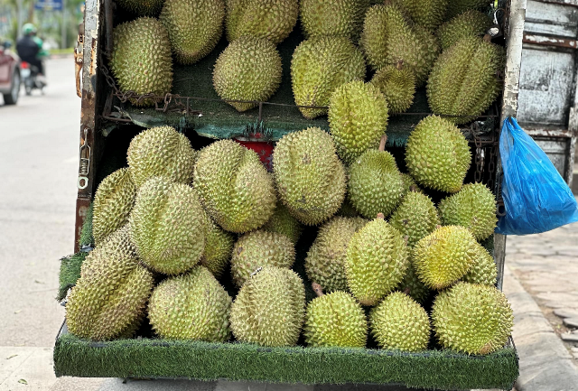 Lần đầu tiên trong 4 năm, dân thoải mái ăn sầu riêng với giá rẻ khó tin