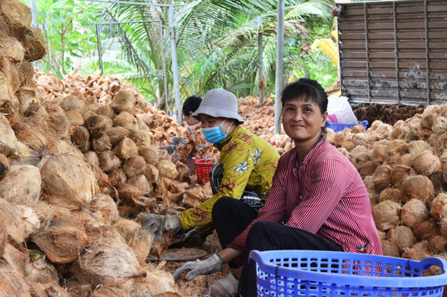 Nâng cao giá trị cây dừa, thúc đẩy kinh tế địa phương