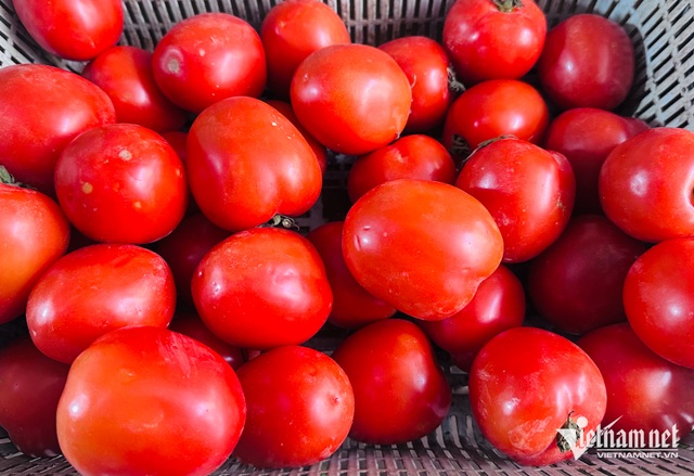 Ngỡ ngàng với cà chua ở chợ Hà Nội: Vọt lên 85.000 đồng/kg vẫn ‘cháy hàng’