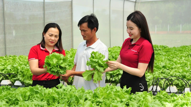 Vốn tín dụng thúc đẩy kinh tế tư nhân phát triển