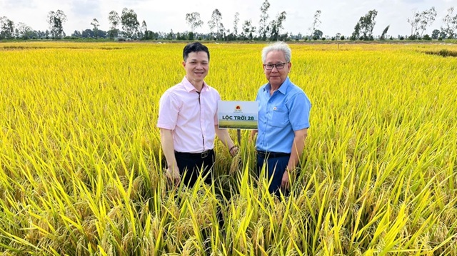 Tôn vinh gạo ngon Đồng bằng sông Cửu Long, thúc đẩy phát triển bền vững ngành lúa gạo
