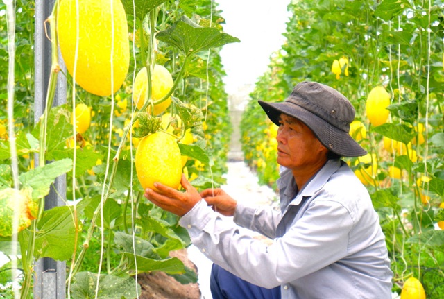 Khoa học công nghệ là chìa khóa để HTX bứt phá