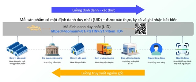 ‘Xương sống dữ liệu’ giúp hàng Made in Vietnam bước ra thế giới bằng hộ chiếu số