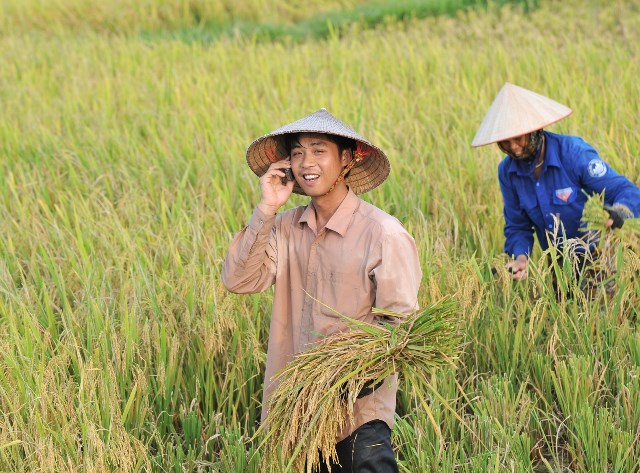 Ngừng cung cấp dịch vụ cho thuê bao 2G Only từ 0h ngày 16/10