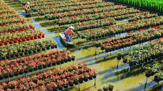 ST4SD - đòn bẩy hợp tác tăng trưởng du lịch xanh giữa Việt Nam và Thụy Sĩ