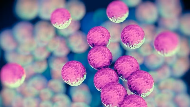 Phát hiện vi khuẩn có khả năng bảo vệ cơ thể trước hội chứng Covid kéo dài