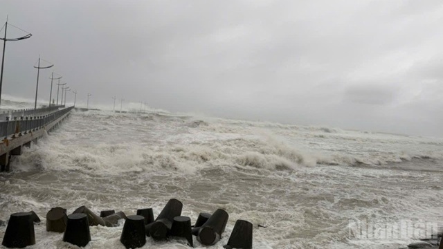 Chủ động ứng phó với bão Fung-wong đang hướng vào Biển Đông