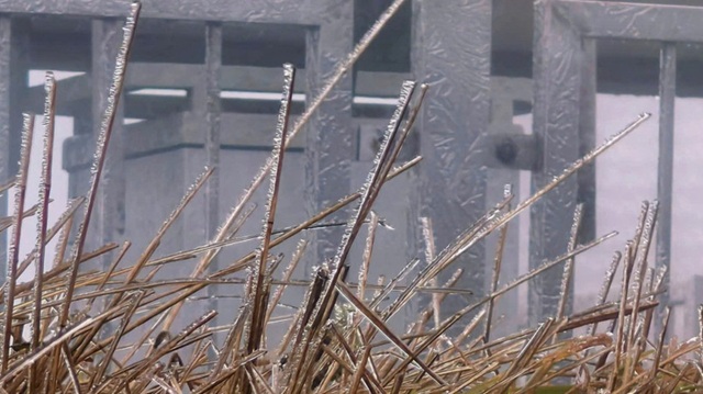 Đỉnh Mẫu Sơn, Lạng Sơn xuất hiện băng giá