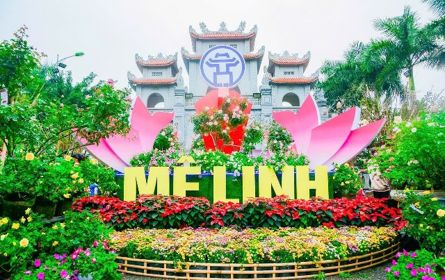 Festival Hoa Mê Linh lần thứ 2 diễn ra trong 4 ngày