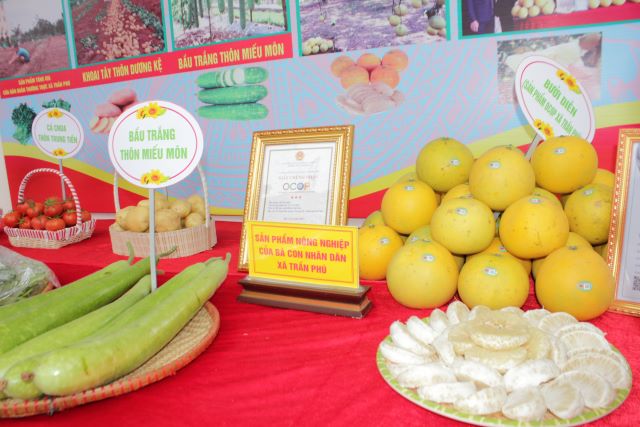 Nông thôn mới Hà Nội: Phát triển các mô hình sản xuất nông nghiệp công nghệ cao, ứng dụng chuyển đổi số