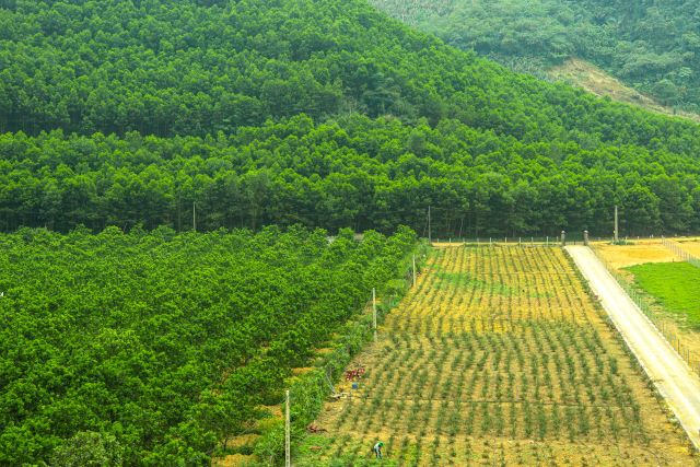Minh bạch sản xuất tạo tiền đề để doanh nghiệp phát triển bền vững