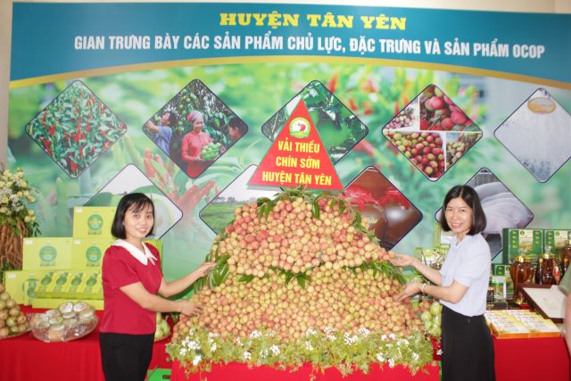 Bắc Giang: Xúc tiến thương mại thúc đẩy tiềm năng phát triển sản phẩm OCOP