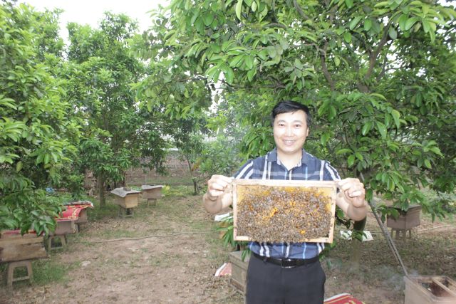 Đan Phượng: Sản phẩm OCOP 3 sao - Mật ong Tuấn Minh mang đến giá trị thật cho người tiêu dùng