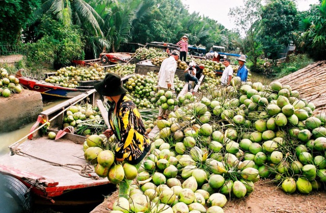 Xúc tiến mặt hàng nông, thủy sản của tỉnh Bến Tre vào thị trường các quốc gia Hồi giáo