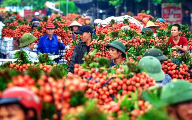 10 tháng năm 2022, xuất khẩu nông lâm thủy sản đạt gần 45 tỷ USD