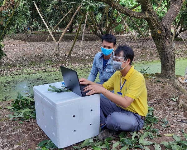 Tạo liên kết vùng thúc đẩy tiêu thụ nông sản qua thương mại điện tử