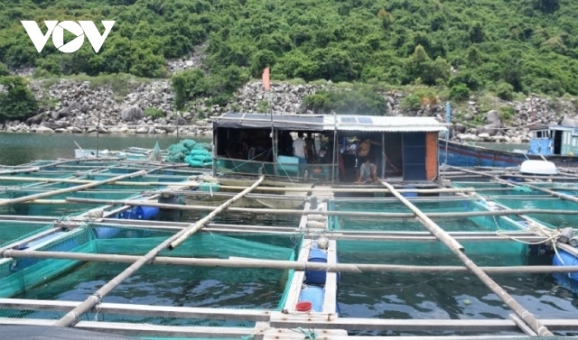 Thủy sản cơ cấu lại sản phẩm bù đắp sụt giảm kim ngạch xuất khẩu từ tôm và cá tra