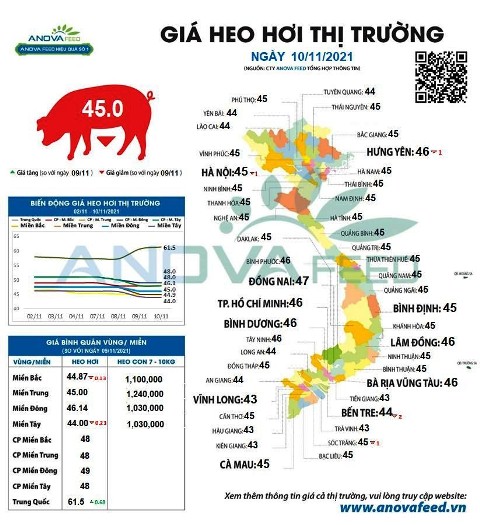 Giá lợn hơi lại giảm sát "đáy”, ngược xu thế hàng năm